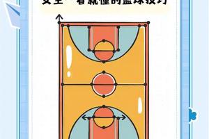  哪里有适合初学者的篮板训练教程？全面指南与推荐